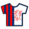 Vibonese
