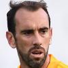 Diego Godin