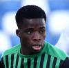 Hamed Junior Traorè